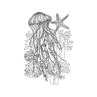 Line Art Animals Line Art Animals