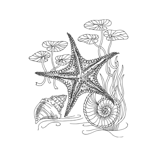 Line Art Animals Line Art Animals