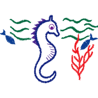 Lined Seahorse Animals Lined Seahorse Animals