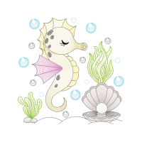 Lined Seahorse Animals