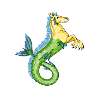 Lined Seahorse Animals