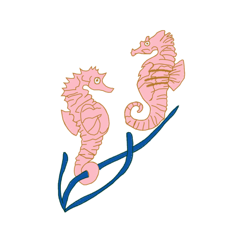 Lined Seahorse Animals Lined Seahorse Animals