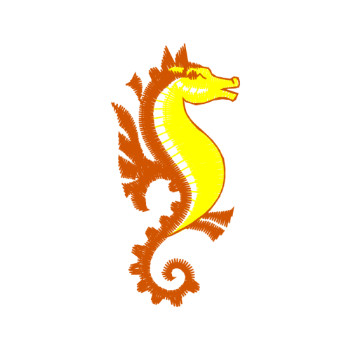 Lined Seahorse Animals Lined Seahorse Animals