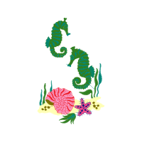 Lined Seahorse Animals