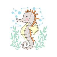 Lined Seahorse Animals