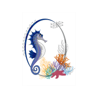 Lined Seahorse Animals