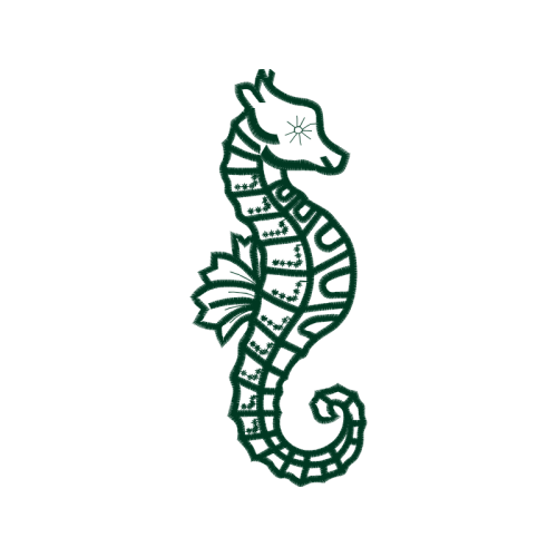 Lined Seahorse Animals Lined Seahorse Animals