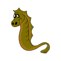 Lined Seahorse Animals