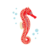 Lined Seahorse Animals Lined Seahorse Animals