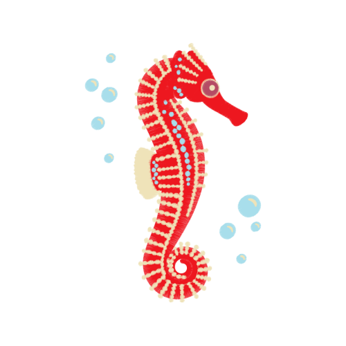 Lined Seahorse Animals Lined Seahorse Animals