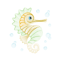 Lined Seahorse Animals