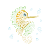 Lined Seahorse Animals