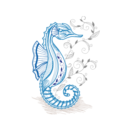 Lined Seahorse Animals Lined Seahorse Animals