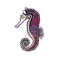 Lined Seahorse Animals