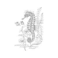 Lined Seahorse Animals Lined Seahorse Animals