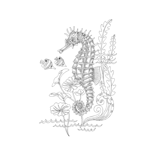 Lined Seahorse Animals Lined Seahorse Animals