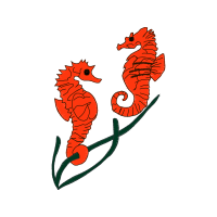 Lined Seahorse Animals Lined Seahorse Animals