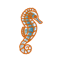 Lined Seahorse Animals Lined Seahorse Animals
