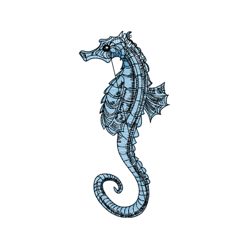 Lined Seahorse Animals Lined Seahorse Animals