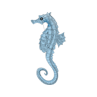 Lined Seahorse Animals Lined Seahorse Animals