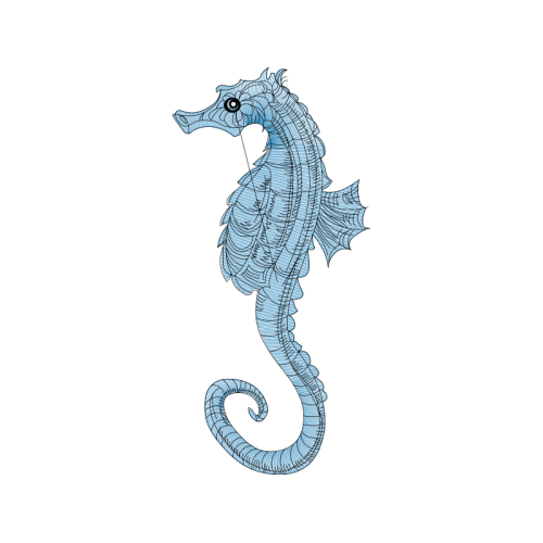 Lined Seahorse Animals Lined Seahorse Animals