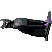 Little Brown Bat Animals