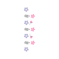 Loggerhead Sea Turtle Animals