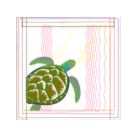 Loggerhead Sea Turtle Animals