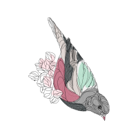 Loggerhead Sea Turtle Animals