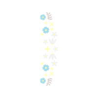 Loggerhead Sea Turtle Animals