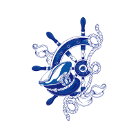 Loggerhead Sea Turtle Animals