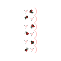 Loggerhead Sea Turtle Animals