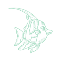 M 02Csf Animals M 02Csf Animals