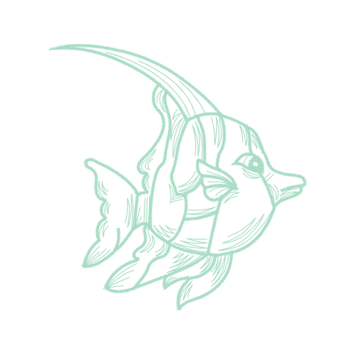 M 02Csf Animals M 02Csf Animals