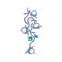 M 02Csf Animals M 02Csf Animals