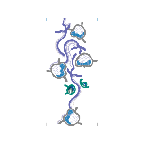 M 02Csf Animals M 02Csf Animals