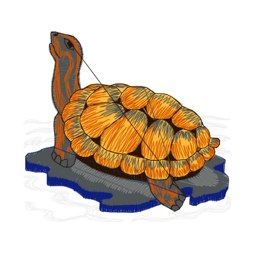 M 02Csf Animals M 02Csf Animals