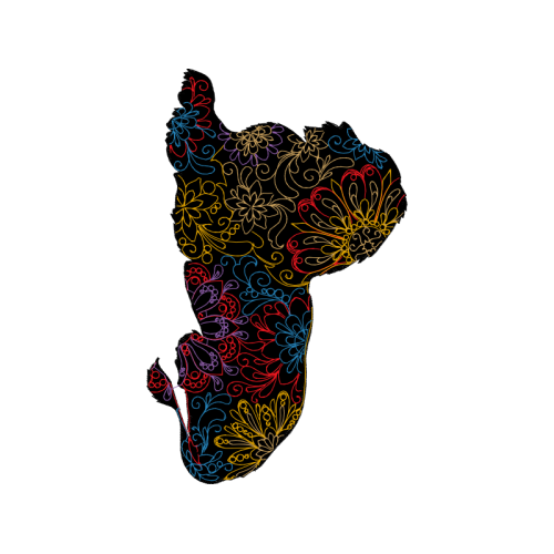 Mammal Animals Mammal Animals