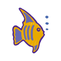 Marine Angelfishes Animals Marine Angelfishes Animals