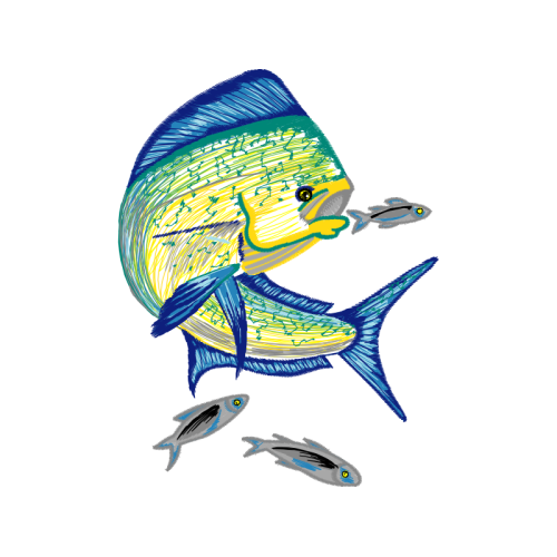 Marine Angelfishes Animals Marine Angelfishes Animals