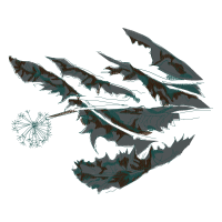 Marine Biology Animals