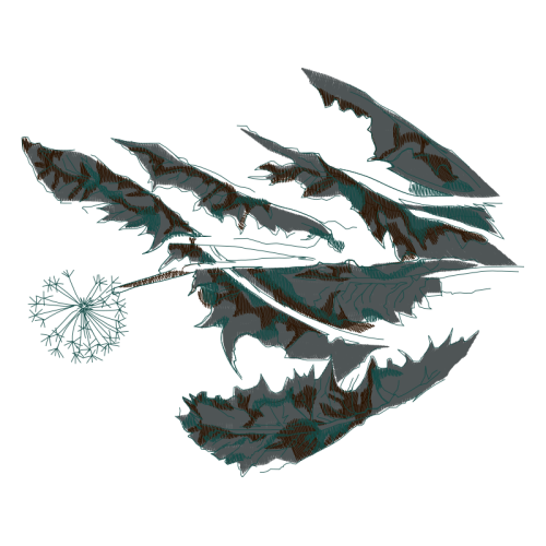 Marine Biology Animals Marine Biology Animals