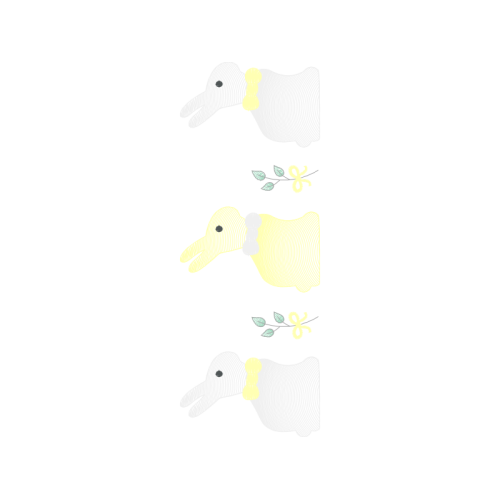 Marine Biology Animals Marine Biology Animals