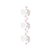 Marine Biology Animals