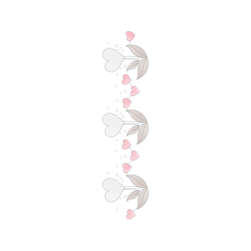 Marine Biology Animals Marine Biology Animals