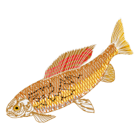 Marine Biology Animals