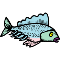 Marine Biology Animals