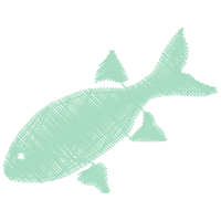 Marine Biology Animals