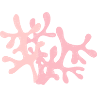 Marine Biology Animals