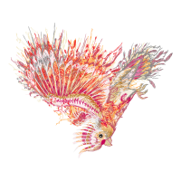 Marine Biology Animals